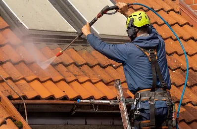 Démoussage et hydrofuge de toiture au Tronquay